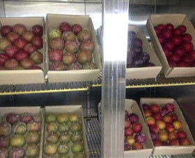 Canoelands Orchard - Hervey Bay Accommodation 1
