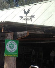 Canoelands Orchard - Hervey Bay Accommodation 3
