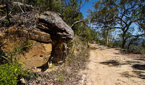 Canoelands Ridge Walking Track - Hervey Bay Accommodation 0