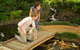 Japanese Gardens And Teahouse Campbelltown - thumb 1