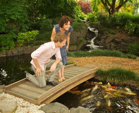 Japanese Gardens And Teahouse Campbelltown - Hervey Bay Accommodation 1