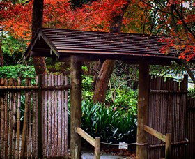 Japanese Gardens And Teahouse Campbelltown - Hervey Bay Accommodation 4