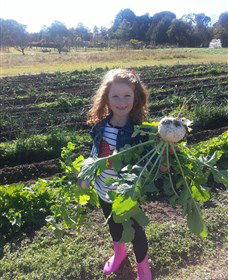 Made In Macarthur Food And Wine Tours - Tourism Hervey Bay 2