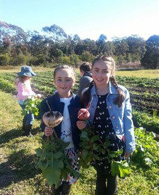 Made In Macarthur Food And Wine Tours - Tourism Hervey Bay 5