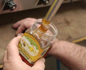 Blue Mountains Honey Company - The Honey Shed - Hervey Bay Accommodation 1
