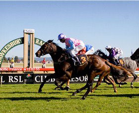 Hawkesbury Race Club - Hervey Bay Accommodation 1