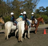 Darkes Forest Riding Ranch - Hervey Bay Accommodation