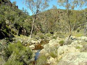 Saunders Gorge Sanctuary - Hervey Bay Accommodation 1