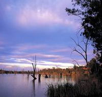 Loch Luna Game Reserve and Moorook Game Reserve - Hervey Bay Accommodation
