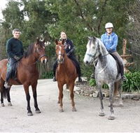 Academy of Dressage - Hervey Bay Accommodation