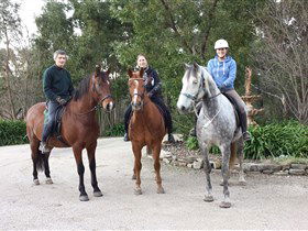 Academy Of Dressage - Hervey Bay Accommodation 0