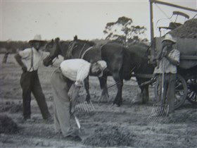 Platform 1 Heritage Farm Railway - Tourism Hervey Bay 3
