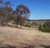 Onkaparinga River National Park - Hervey Bay Accommodation