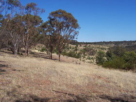Onkaparinga River National Park - Tourism Hervey Bay 0