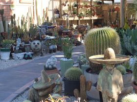 Cactus Creations - Tourism Hervey Bay 0