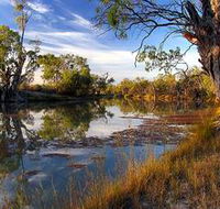 Murray River National Park - Hervey Bay Accommodation