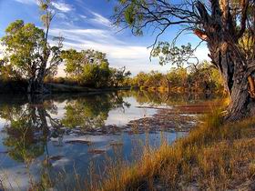 Murray River National Park - Hervey Bay Accommodation 0
