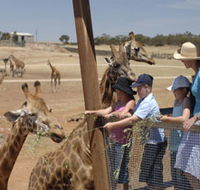 Monarto Open Range Zoo - Hervey Bay Accommodation