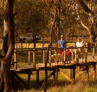 Loxton's Drives Walks and Trails - Hervey Bay Accommodation