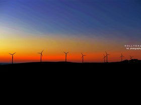 Starfish Hill Windfarm - Hervey Bay Accommodation 0