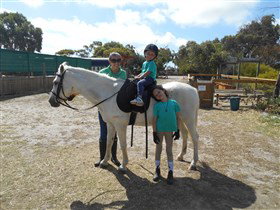 Animal Farm Goolwa - Hervey Bay Accommodation 2