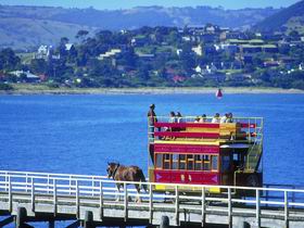 Granite Island Recreation Park - Hervey Bay Accommodation 0