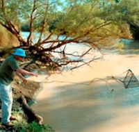 Charleville - Ward River Fishing Spot - Hervey Bay Accommodation