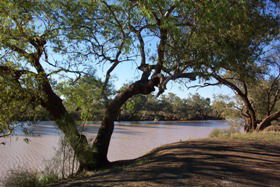 Charleville - Bakers Bend Warrego River Fishing Spot - Hervey Bay Accommodation 1