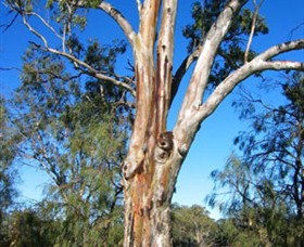 ODonnell Park At Curlwaa - Hervey Bay Accommodation 2