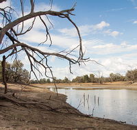 Toorale National Park - Hervey Bay Accommodation