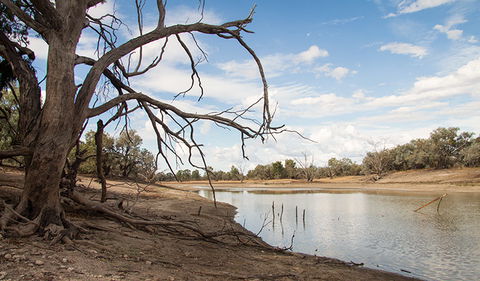 Toorale National Park - Tourism Hervey Bay 0