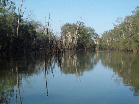 Charleville - 18 Mile Warrego River Fishing - Hervey Bay Accommodation 1