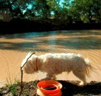 Charleville - 27 Mile Warrego River Fishing Spot - Hervey Bay Accommodation