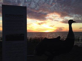 Meningie's Pelican Path - Yunti Ngopun Ngami - Hervey Bay Accommodation 2