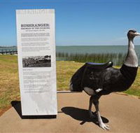 Birdman of the Coorong - Tourism Hervey Bay
