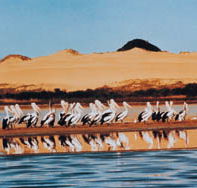 Coorong National Park - Tourism Hervey Bay