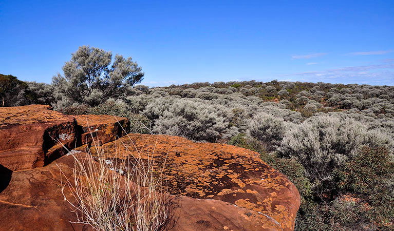 Irymple NSW Hervey Bay Accommodation