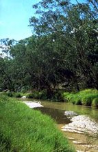 Salvator Rosa Section - Carnarvon National Park - Hervey Bay Accommodation 0
