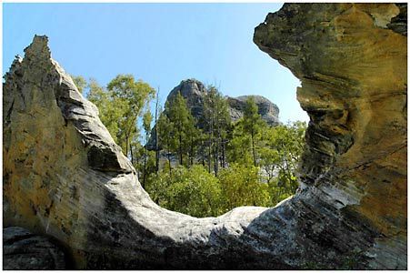 Salvator Rosa Section - Carnarvon National Park - Hervey Bay Accommodation 1