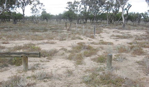 Culgoa Connellys Track - Hervey Bay Accommodation 0