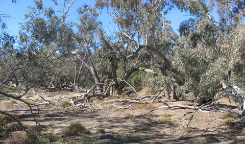 Mirri Mirru Yurun - Hervey Bay Accommodation 0