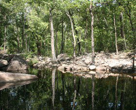 Gubara - Tourism Hervey Bay 0