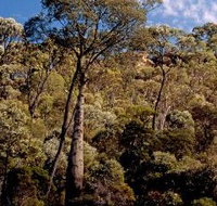 Ka Ka Mundi Carnarvon National Park - Hervey Bay Accommodation