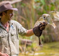 Territory Wildlife Park - Hervey Bay Accommodation