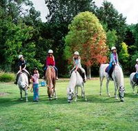 Limestone Coast Horseriding - Hervey Bay Accommodation