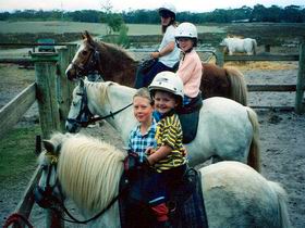 Limestone Coast Horseriding - Hervey Bay Accommodation 1