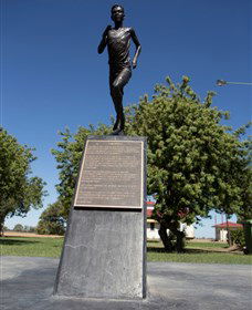 Railway Park Dirranbandi - Hervey Bay Accommodation 1