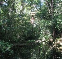 Wabunga Wayemba Charmillan Creek walking track - Hervey Bay Accommodation