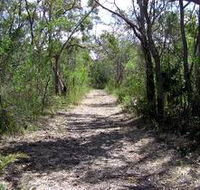 Lanky's Walk - Tourism Hervey Bay