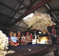 Shear Outback the Australian Shearers Hall of Fame - Hervey Bay Accommodation